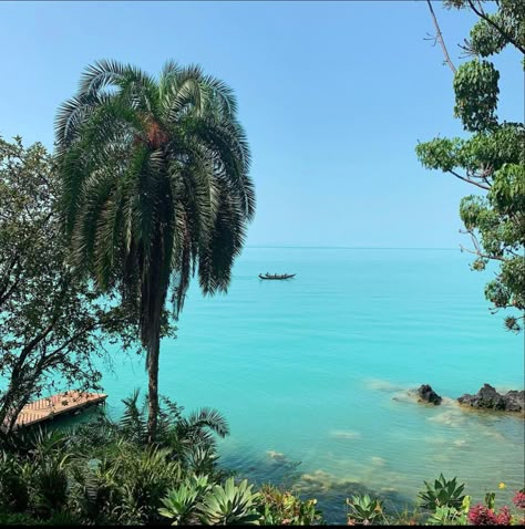 Every 4 - 6 years, our magical Lake Kivu gives us the possibility to have Maledives in front of the door. Martin Schmid of the Swiss Federal Institute of Aquatic Science and Technology said that this spectacular phenomenon might be caused by a phytoplankton bloom, by high surface water temperatures, or by a combination of both. African Nature Aesthetic, Congo Aesthetic, Lake Kivu, Ghana Culture, Drc Congo, Magical Lake, Zanzibar Travel, Summertime Madness, Travel Points