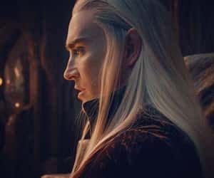 king, elf и the hobbit картинка в We Heart It The Hobbit Thranduil, Orlando Bloom Legolas, Lee Pace Thranduil, King Thranduil, Legolas And Thranduil, Elf King, Woodland Realm, Elven King, Tauriel