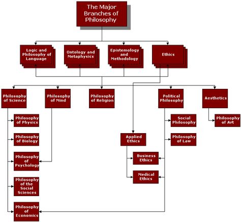 The Major Branches of Philosophy [Large Image: Please be patient] Aesthetics Philosophy, Philosophy Major, Philosophy Theories, School Of Philosophy, Humanities And Social Sciences, Branches Of Science, History Of Philosophy, Modern Philosophy, Routine Life