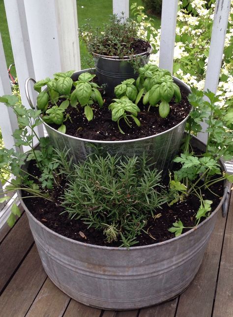 Deck Herb Garden Ideas, Herb Porch Planters, Multi Herb Planter, Herb Garden For Deck, Unique Herb Garden Ideas, Counter Top Herb Garden, Herbs On Porch, Herbs On Deck, Balcony Herbs Idea