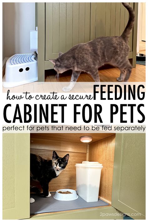 Pet Feeding Station Cat And Dog, Diy Dog Proof Cat Food Station, Cat Food Corner Ideas, Cat Food Cabinet, Raised Cat Food Station, Cat Food Station Ideas, Elevated Cat Feeding Station Dog Proof, Pet Feeding Station In Kitchen, Multiple Cat Feeding Station