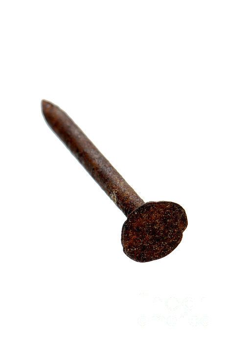 Rusty Nails, Nail Aesthetic, Rusty Nail, Nail Blue, Nails Cute, Simple Prints, What Happens When You, Scavenger Hunt, Chemistry