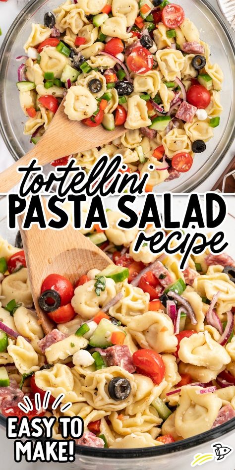 Cold Deli Salads, Tortilini Pasta Salads, Tortalini Pasta Salads, Tortilini Pasta Salad, Tortellini Recipes Salad, Easy Tortellini Pasta Salad, Italian Pasta Salad Recipes, Cheese Tortellini Salad, Thanksgiving Pasta