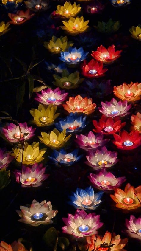 Loy Bratib of Cambodia Diffrent Loy Krathong of Thailand in 2024 | Buddhismus, Lotus . #Goddess_Ganga #Thailand_Festivals #Hungry_Ghost #Cambodia_Beaches Sky Full Of Stars Tattoo, Lotus Lantern Festival, Goddess Ganga, Lotus Lantern, Thailand Festivals, Dance Decor, Lego Advent, Lights Festival, Loy Krathong