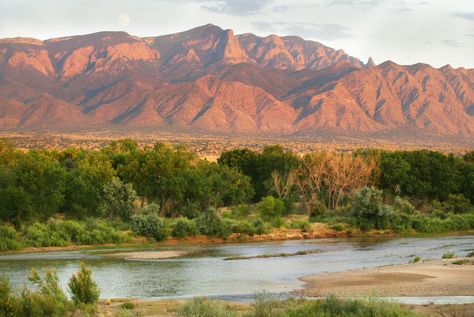 Each year, the Southwest's major river gets drier and drier. A first-of-its-kind donation from local Native American tribes could change that. New Mexico Aesthetic, Sandia Mountains, New Mexico Road Trip, New Mexico Style, Mexico Culture, New Mexican, Desert Painting, Land Of Enchantment, American Southwest