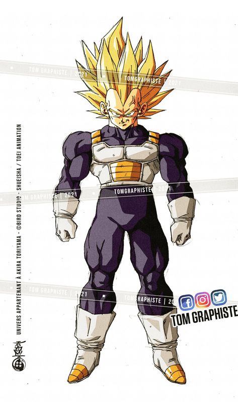 Vegeta Ego Superior, Vegeta Ego, Dragon Nest Warrior, Super Vegeta, Dbz Drawings, Dbz Manga, Dragon Nest, Dbz Characters, Dragon Ball Art Goku