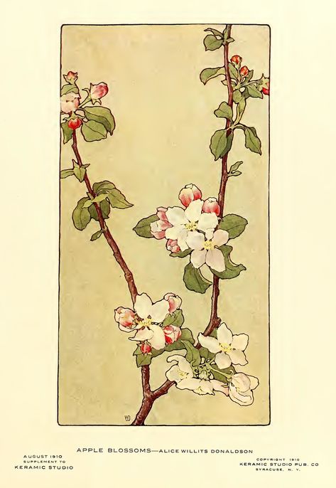 Apple Blossom Tattoos, Apple Tree Blossoms, Tree Branch Tattoo, Apple Blossom Flower, Apple Illustration, Apple Flowers, Apple Blossoms, Cherry Blossom Art, Cherry Blossom Festival