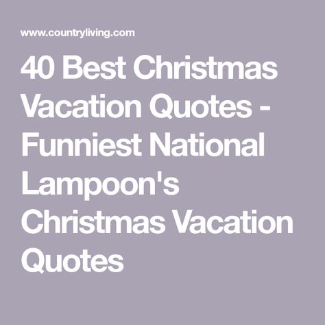 40 Best Christmas Vacation Quotes - Funniest National Lampoon's Christmas Vacation Quotes National Lampoon's Christmas Vacation Quotes, Lampoon Christmas Vacation, Lampoon's Christmas Vacation Quotes, Christmas Vacation Letter Board, Christmas Quotes Movies, National Lampoon Christmas Vacation Svg, National Lampoon Christmas Vacation Wallpaper, Quotes From Christmas Vacation, Christmas Vacation Aunt Bethany