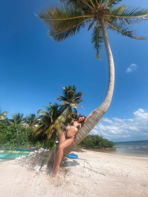 Girl laying on tree in bikini on the beach Maldives Outfit Bikinis, Belize Vacation Aesthetic, Belize Photo Ideas, Boracay Pose Ideas, Kauai Instagram Pictures, Couples Beach Vacation Photo Ideas, Belize Pictures Ideas, Tropical Beach Photoshoot, Beach Photos Outfit Ideas