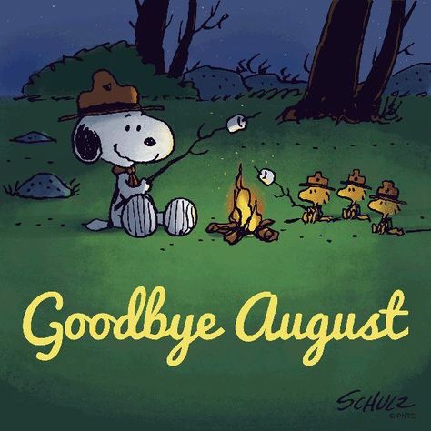 Summer Snoopy, Woodstock Pictures, Goodbye August, August Pictures, Snoopy Beagle, August Quotes, Months And Seasons, Hello August, Peanut Gang