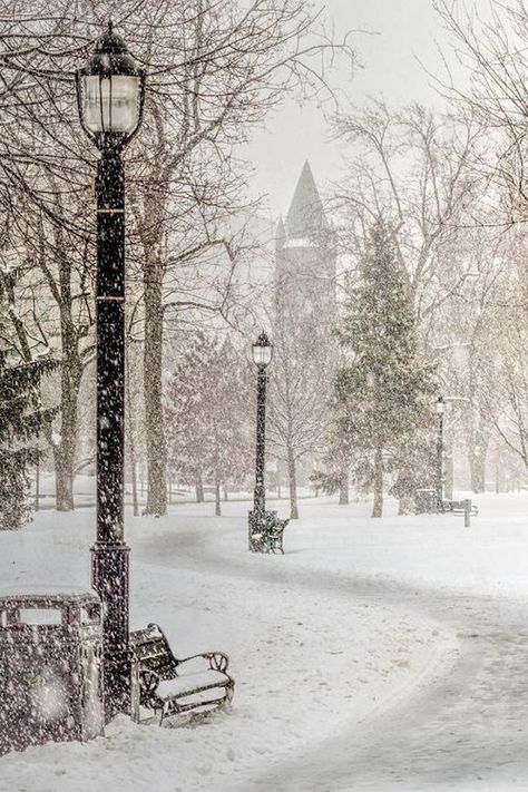 Christmas Invite, Winter Schnee, Parks Canada, Winter's Tale, Victoria Park, Winter Love, Winter Scenery, Winter Magic, Winter Beauty