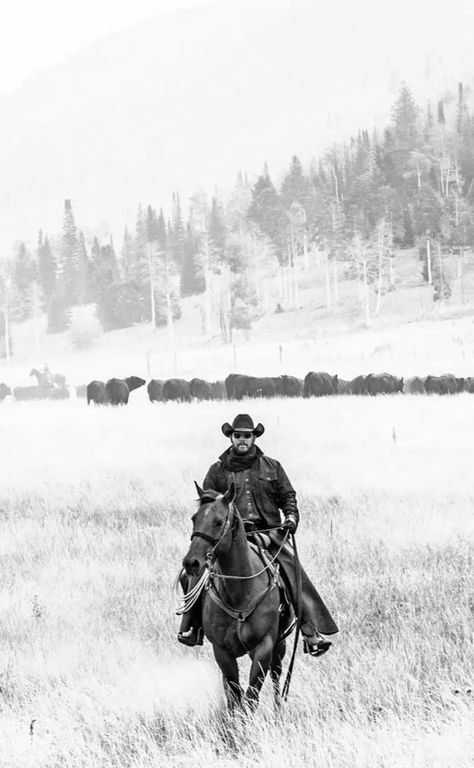 Yellowstone Aesthetic, Mounting A Horse, Beth And Rip, Rip Yellowstone, Yellowstone Tv Show, Herding Cattle, Rip Wheeler, Yellowstone Series, Yellowstone Dutton Ranch