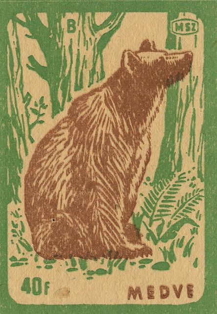 Matchbox Label, Matchbook Art, Matchbox Art, Brown Bear, Linocut, In The Woods, Printmaking, Print Making, Art Inspo