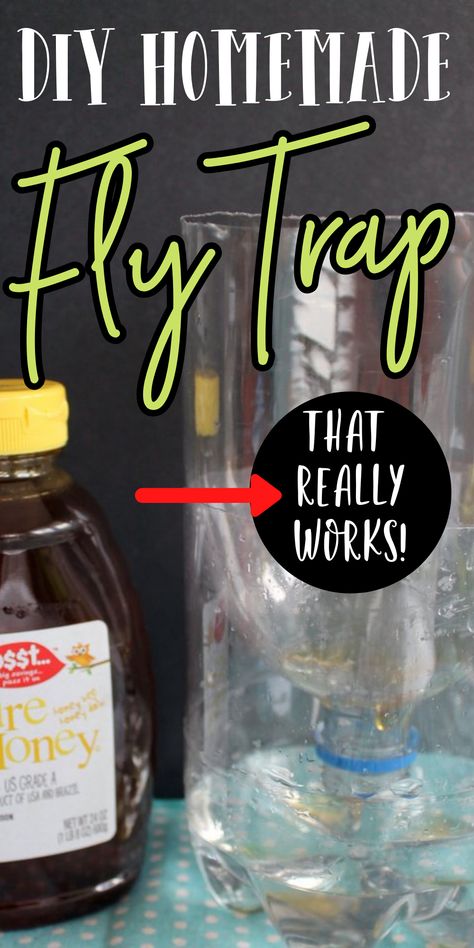 How To Make Fly Traps Homemade, Homemade Fly Killer, Home Made Fly Trap Diy, Home Fly Trap, Natural Fly Trap Indoors, Home Made Fly Trap, House Fly Trap Homemade, Homemade Fly Traps Outdoor, Fly Repellant Diy Indoors