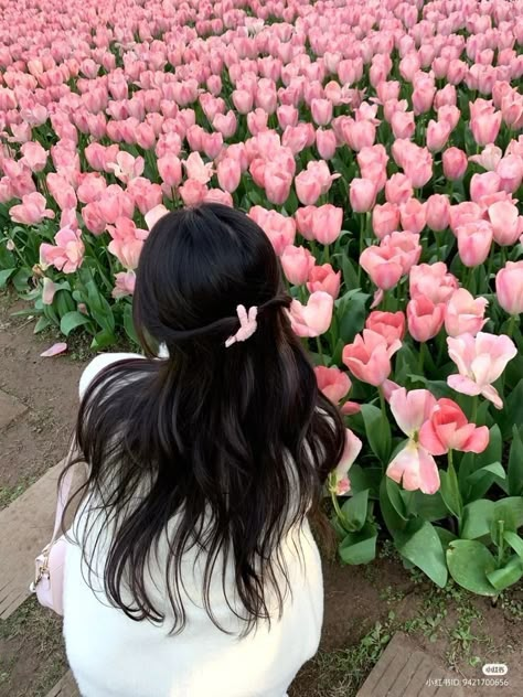 Pink Tulips, Flower Field, Pose Ideas, Girly Photography, Ulzzang Girl, Tulips, Black Hair, Photo Ideas, Avatar