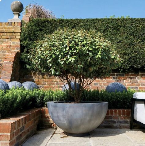 Large Planters Outdoor, Tree In Container, Large Bowl Planters, Japanese Garden Backyard, Oversized Planters, Large Garden Pots, Large Garden Planters, Trees In Pots, Brick Planter