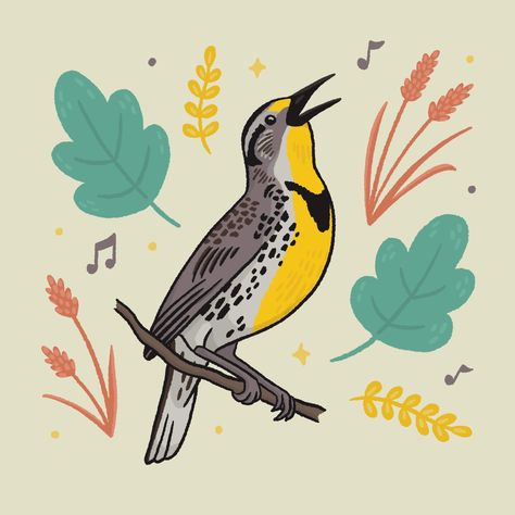 Digital Western Meadowlark drawing, state bird of Nebraska, Montana, Kansas, North Dakota, Oregon, and Wyoming. #drawing #art #bird #animals #nature Montana State Bird, Western Meadowlark Drawing, Western Meadowlark Tattoo, Meadowlark Drawing, Meadowlark Tattoo, Kansas State Bird, Nebraska Tattoo, Meadowlark Bird, Eco Illustration