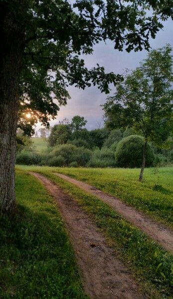 Ohio Wallpaper, Wallpaper Countryside, Ohio Landscape, Creative Garden Ideas, Scenery Background, Countryside House, Dirt Road, Beautiful Places Nature, Dark Photography