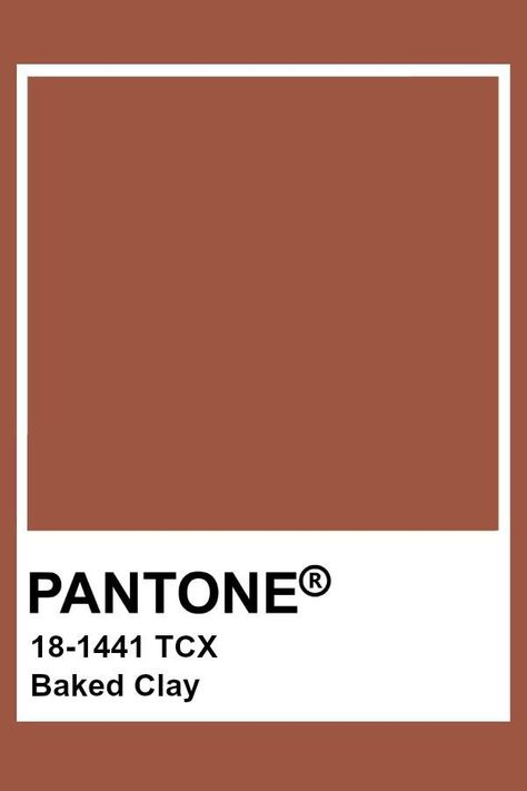 Terra Cotta Pantone, Terracotta Pantone, Pantone Tcx, Pantone Color Chart, Pantone Swatches, Pantone Colours, Baked Clay, Pantone Palette, Pantone Colour Palettes