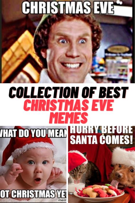 Christmas Eve Memes #ChristmasEve #Christmas #memes #funny Christmas Eve Funny Hilarious, Happy Christmas Eve Quotes Funny, Christmas Eve Eve Quotes, Christmas Eve Photos, Christmas Eve Humor, Happy Christmas Eve Quotes, Christmas Eve Sayings Funny, Happy Christmas Eve Eve Friends, Merry Christmas Eve Eve Friends