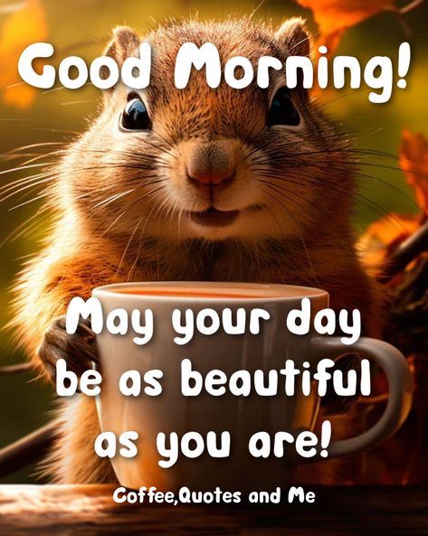 Cute Good Morning Gif, Good Morning Animals, Happy Day Quotes, Good Morning Funny Pictures, Cute Good Morning Images, Good Morning Sunshine Quotes, Happy Morning Quotes, Funny Good Morning Quotes, Slaap Lekker