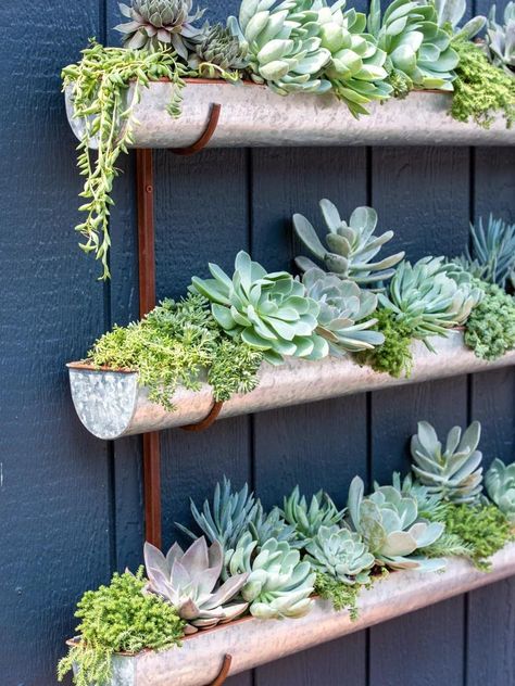 Succulent Wall Garden, Pot Gantung, Trailing Flowers, Wall Planters Indoor, Tiered Planter, Vertical Wall Planters, Succulent Garden Design, Vertical Planter, Succulent Garden Diy