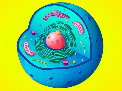 Cell Membrane Structure, Diy For Babies, Biology Illustration, Law Firm Design, Scientific Poster Design, Scientific Poster, Eukaryotic Cell, Membrane Structure, Animal Cell