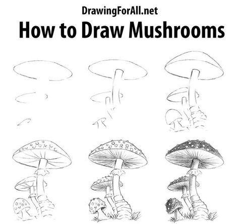 How To Draw Mushrooms, Draw Mushrooms, Draw A Mushroom, Mushroom Sketch, Drawing Landscapes, Beautiful Pencil Drawings, Draw Realistic, Mushroom Drawing, Flower Drawing Tutorials