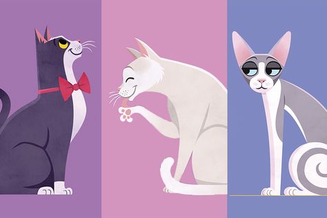 Quiz | What type of cat are you? What Kind Of Cat Are You, What Type Of Cat Are You, Best Poetry Books, Cat Please, Cat Species, What Cat, Types Of Cats, Kinds Of Cats, Animal Stories