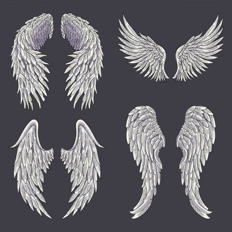 Angel Wing Tattoo, Alas Tattoo, Wing Tattoos On Back, Wings Sketch, Angel Wings Drawing, Angel Feather, Angel Wings Art, Ganesha Tattoo, Wing Tattoo Designs