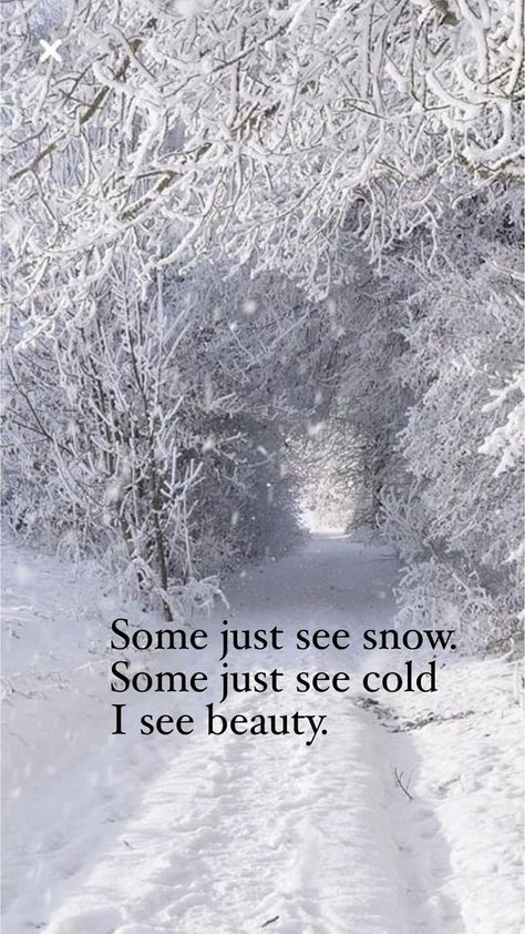 The Magical Holidays of Christmas & Winter ⛄️❄️🎄🎅🏻 | ❤️❄️❤️ | Facebook Snow Quotes Beautiful, Snow Quotes, Season Quotes, Winter And Christmas, Christmas Scenery, Wonderland Quotes, Quotes Beautiful, Winter Quotes, Winter Background