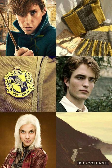 Hufflepuff Stuff, Hogwarts Hufflepuff, Harry Potter Planner, Classe Harry Potter, Hufflepuff Aesthetic, Hufflepuff Pride, Hufflepuff House, Harry Potter Hufflepuff, Harry Potter Images