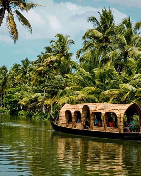 If you're traveling to Kerala, India soon, you don't want to skip this ultimate 5-day travel guide! From relaxing at the beach to adventuring in the tiger reserves and exploring its tea plantations, Kerala is the perfect spot for a travel adventure. Learn the best tips on the must see spots and how to immerse yourself in their culture with this itinerary. Find out how to pay the same (no, really!) and get WAY more when you have a Fora advisor plan your trip to Kerala at foratravel.com. Kerala Aesthetic, Places To Travel Bucket Lists, Travel Kerala, Wallpaper Ramadhan, Online Portfolio Website, Kerala Backwaters, Kerala Travel, India Travel Guide, Imperial Crown