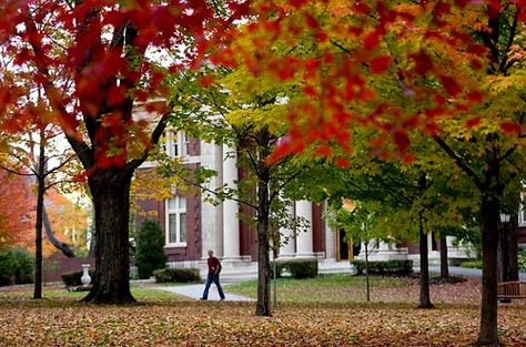 Thinking of applying to college early action? Here's a complete list of early action schools, separated by state. Bates College, Campus Aesthetic, Boarding School Aesthetic, College Search, College Aesthetic, College Campus, Boarding School, Future Life, College Life