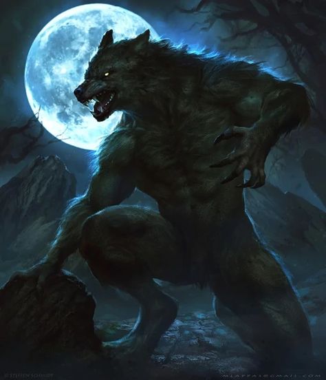 Fantasy Werewolf, Alpha Wolf, Werewolf Art, A Wolf, Fantasy Creatures, Mythical Creatures, Full Moon, Dark Fantasy, Wolves