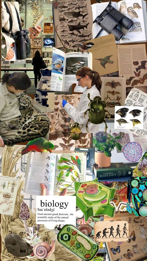 #naturalistcollage #collage #biology #biologystudent #biologyaesthetic #biologyshuffle #student #studentcore #science Biological Sciences Wallpaper, Biological Sciences Aesthetic, Biology Moodboard, Science Aesthetic Biology, Scientist Aesthetic Biology, Biology Collage, Biology Aesthetic Wallpaper, Biology Student Aesthetic, Collage Science