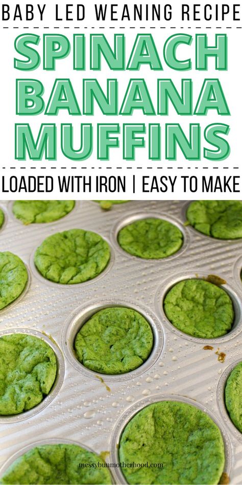 spinach banana muffins in muffin tray Blw Ideas 6 Months, Spinach Muffins For Baby, Blw Recipes 6 Months, Spinach Banana Muffins, Baby Led Weaning 6 Months, Baby Led Weaning Recipe, Baby Weaning Foods, Blw Ideas, Mini Muffin Recipe