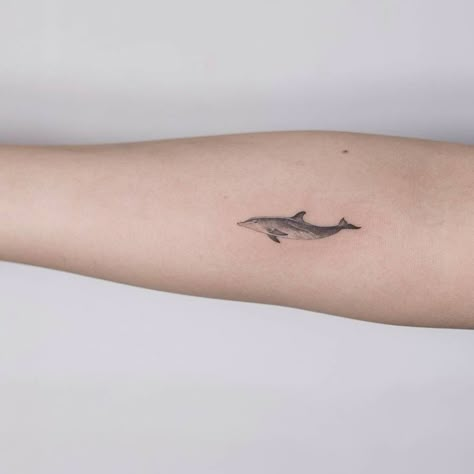 Fine line dolphin tattoo on the right inner forearm. Dolphin Tattoos, Dolphin Tattoo, Dolphins Tattoo, Ocean Tattoo, Inner Forearm Tattoo, Tattoos Pictures, Ocean Tattoos, Shark Tattoos, Tattoo Black