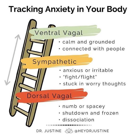 Dr. Shannan Cason🍃 on Instagram: “Via @somaticexperiencingint - #mindfulness #polyvagaltheory #ventralvagal #dorsalvagal #fightorflight #relationalneuroscience…” Therapist Resources, Nervus Vagus, Polyvagal Theory, Somatic Experiencing, Somatic Therapy, Mental Health Counseling, Vagus Nerve, Therapy Counseling, Counseling Resources