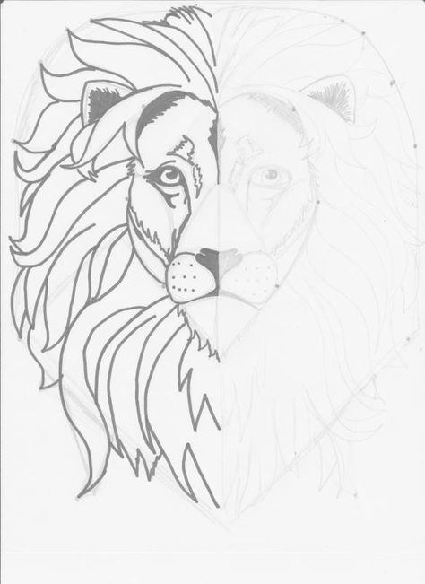 Mirror Image Lion Drawing: Week Two, Classical Conversations Mirror Image Drawing, Beginner Doodles, Lion Drawing Simple, Lion Face Drawing, Teach Drawing, Qi Lin, Image Drawing, Lion Sketch, Lion Drawing