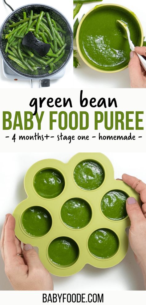 This Green Bean Baby Food Puree recipe is a great first puree for baby! Steamed until just tender, this puree has a mild taste for baby’s palette. Great baby food for 4 months and up – stage 1 baby food. #babyfood #homemade #puree Beans For Babies, Green Bean Baby Food, Stage 1 Baby Food, Baby Food Recipes Stage 1, Easy Homemade Baby Food, Baby Purees, Pureed Food, Baby Food Puree, Easy Baby Food