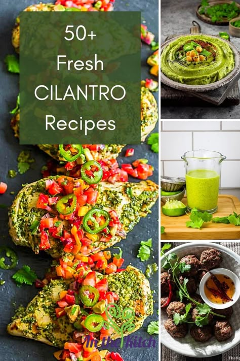 Cilantro And Parsley Recipes, How To Use Cilantro, Fresh Cilantro Recipes, Coriander Recipes, Cilantro Salad, Cilantro Recipes, Grilled Chicken Tacos, Cilantro Pesto, Cilantro Lime Shrimp