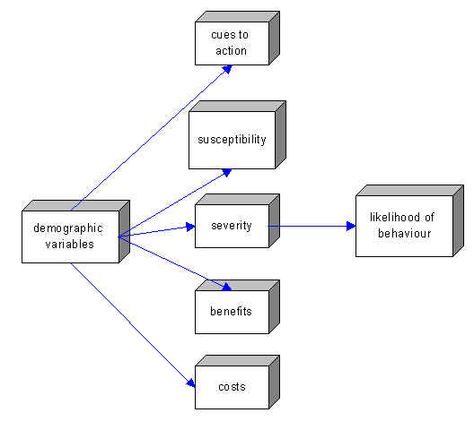 Chapter 13 - Health Belief Model Health Belief Model, Long Term Memory, Student Nurse, Book Images, Nursing Students, Nursing, Health