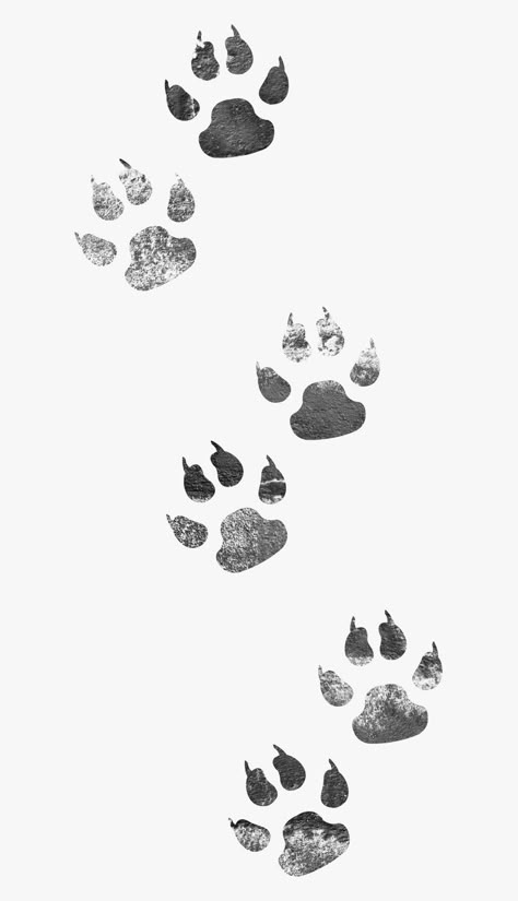 Paw Sketch, Dog Paw Drawing, Cat Paw Tattoos, Tiger Paw Print, Best Leg Tattoos, Paw Print Art, Paw Drawing, Typographic Poster Design, Animal Footprints