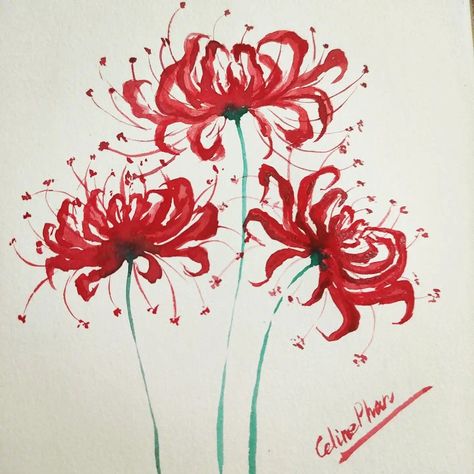 Watercolor Spider Lily, Spider Lily Flower Drawing, How To Draw Spider Lily, Red Spider Lily Painting, Spider Lilies Drawing, Spider Lily Painting, Red Spider Lily Drawing, Spider Lily Art, Spider Lily Drawing