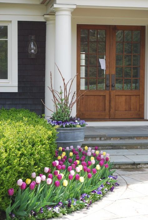 Love the display - the rounded edge and use of height.  I'm also pinning to remind myself that I don't care for the tulip mixes.  Stick with monochromatic Tulpen Arrangements, Tulips Arrangement, Walkway Landscaping, Pathway Landscaping, Tulip Garden, Walkways Paths, Tulips Garden, Front Yard Garden, Gardening Landscaping