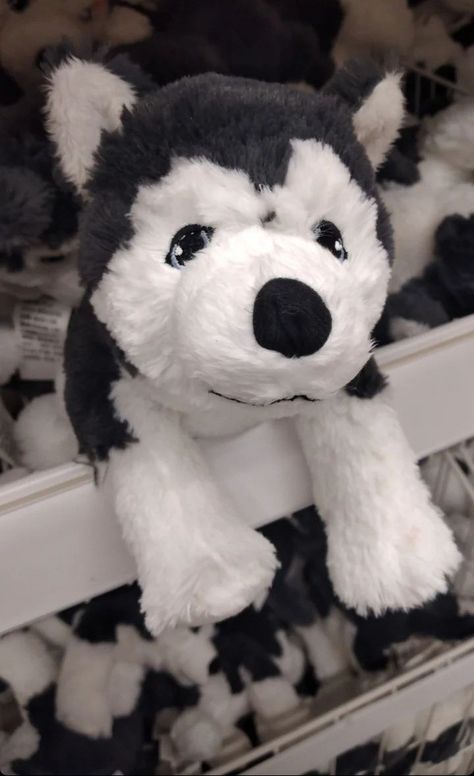 Ty Plushies, Ikea Dog, Where'd All The Time Go, Feeling Photos, Childhood Core, Core Memories, Ty Beanie Babies, Beanie Babies, Ty Beanie