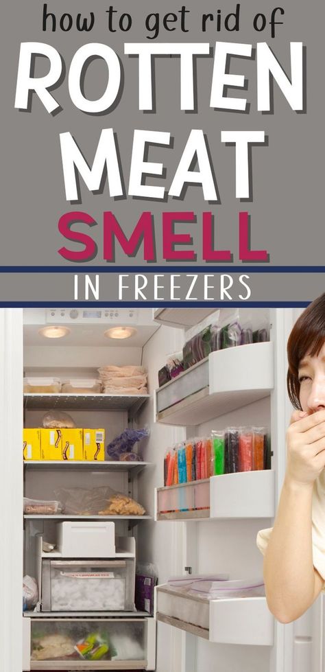 Pin text reads "how to get rid of rotten meat smell in freezers." Background image is a gagging woman standing in front of a freezer that contains rotten meat before using these simple life hacks to get rid of rotten food smell in freezer. How To Clean Freezer, Rotten Meat, Scandinavian Farmhouse Style, Fridge Smells, Rotten Food, Scandinavian Farmhouse, Best Cleaning Products, Organized Living, Household Cleaning Tips