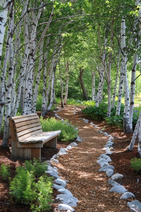 29 Secret Garden Ideas for a Magical Outdoor Escape 25 Birch Tree Garden, Contemplative Space, Birch Trees Garden, Wooded Backyard Landscape, Calm Garden, Silver Birch Tree, Secret Garden Ideas, Ethereal Landscape, Calming Environment