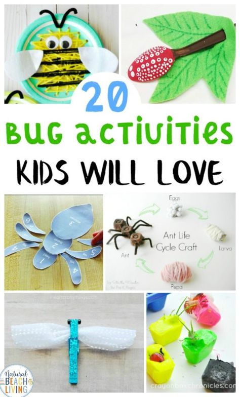 Bug Activities for Preschool, Preschool Insect Theme, These Bug Activities for Preschool and Kindergarten are great for a bug theme. You'll find fun learning activities, crafts, ideas, printables and insect science activities. Great ideas for a preschool insect theme or hands-on activities for your kids Insect Ideas For Preschoolers, Insect Preschool Activities, Insect Theme Preschool Activities, Insect Activities Preschool, Insect Activities For Toddlers, Bug Activities For Kids, Insect Activities For Kids, Ladybug Life Cycle Activities, Preschool Bug Theme